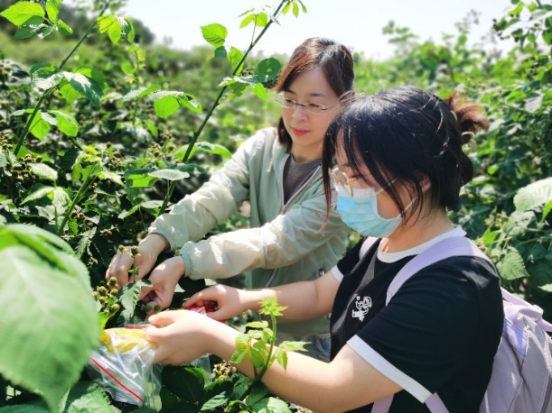 微信图片_2025-11-18_133726_864.png